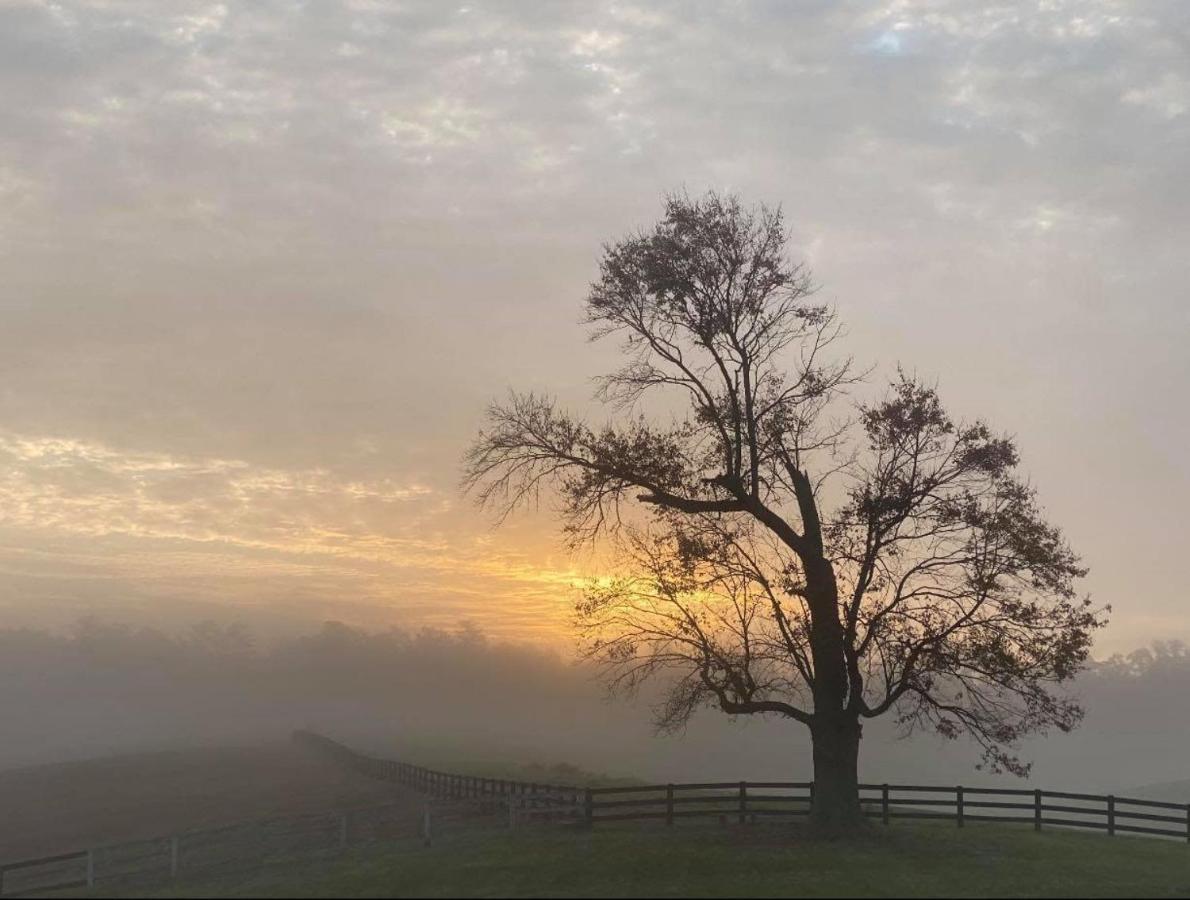 Bluegreen Vacations Shenandoah Crossing, Ascend Resort Collection Gordonsville Buitenkant foto